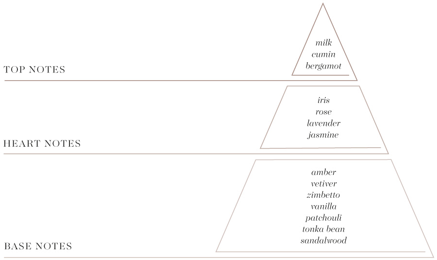 Arké olfactory pyramid