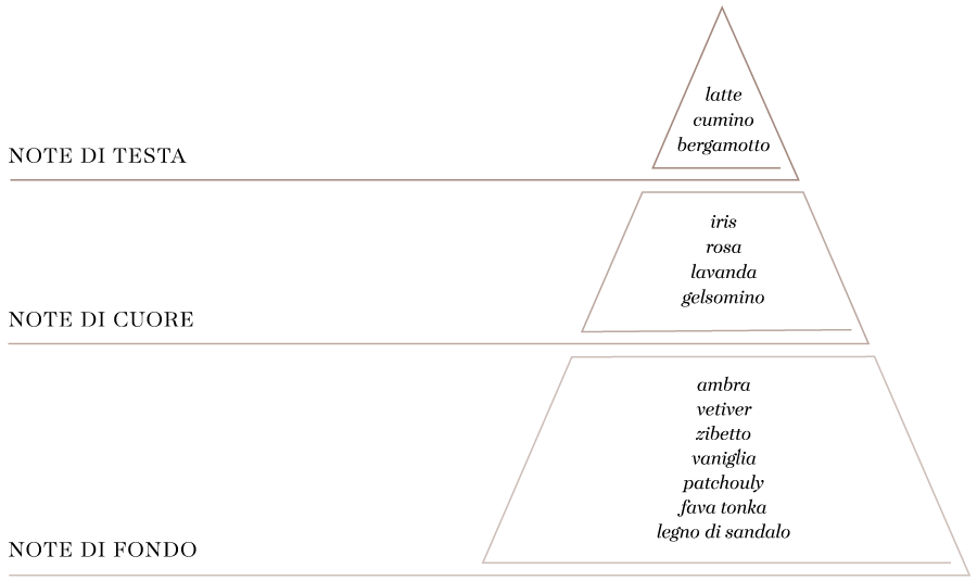 Arké piramide olfattiva