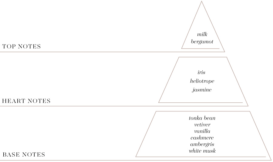 Caterina olfactory pyramid