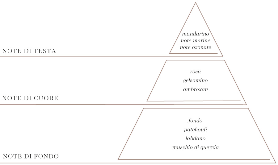 Aquilone piramide olfattiva